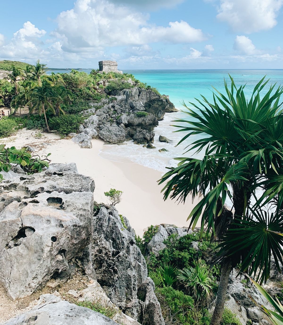 Excursion Tulum et tortue