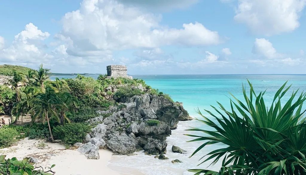 Tulum Tortues et cenote en français excursion