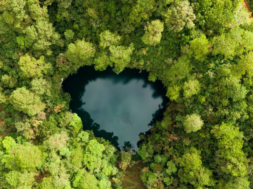 Lagunes à Tulum