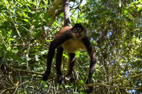 Profitez de vos vacances au Mexique pour y découvrir la faune du Yucatan.