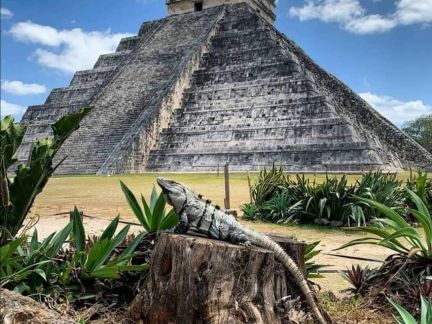 Excursion à Chichen Itza et visite de Valladolid