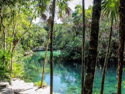 Baignades cenote de Tulum | VRM