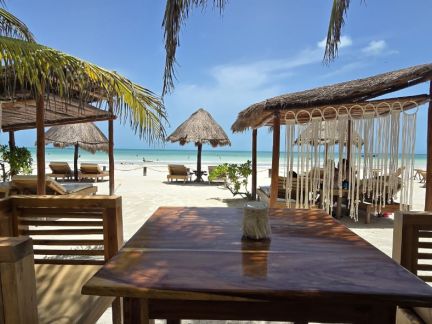 Planifier votre excursion sur l'île d'Holbox avec VRM