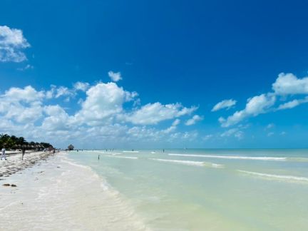 Journée découverte de l'île d'Holbox avec VRM